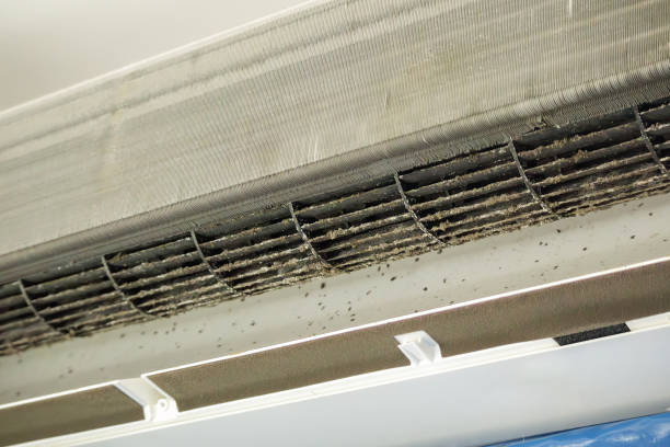 Best Local Air Duct Cleaning Services  in Attica, IN